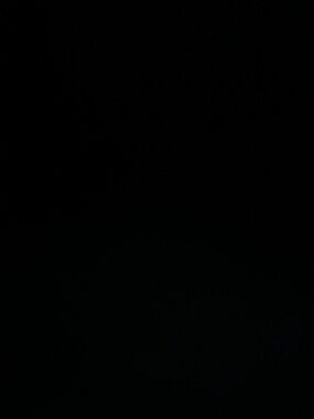 Skechers womens Brystol Sandals 9